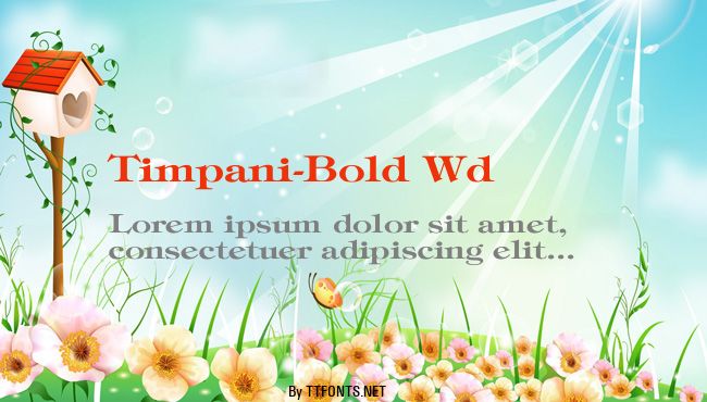 Timpani-Bold Wd example